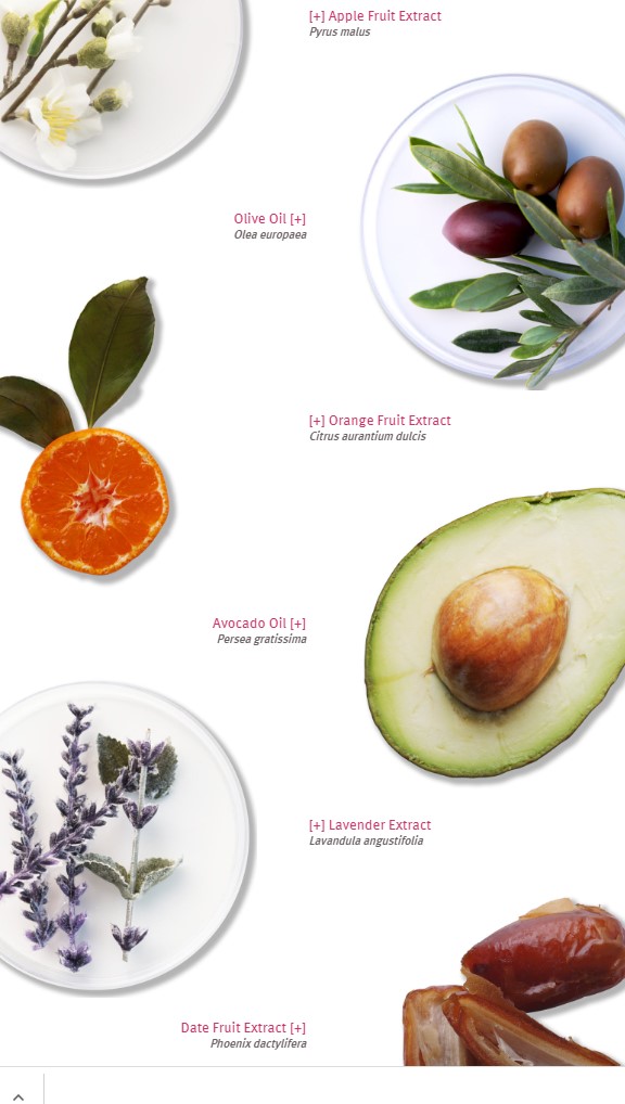 ingredientsRENEWALCREAM2