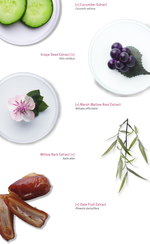 balancingtoneringredients