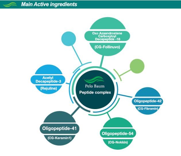 lashlashingredientsinconcert