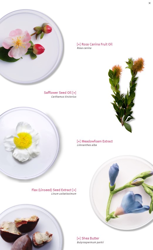 ingredientsRenewalEyecream1