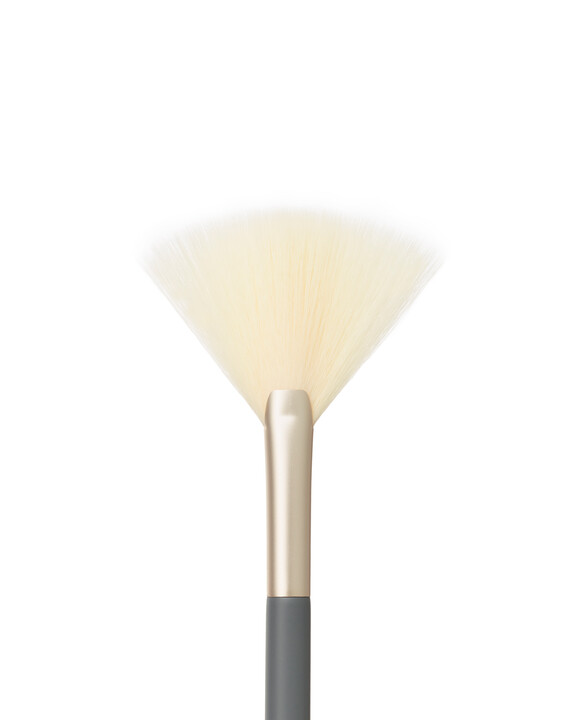 Fan Brush (Pinsel Grau) Fan Brush (Pinsel Grau)
