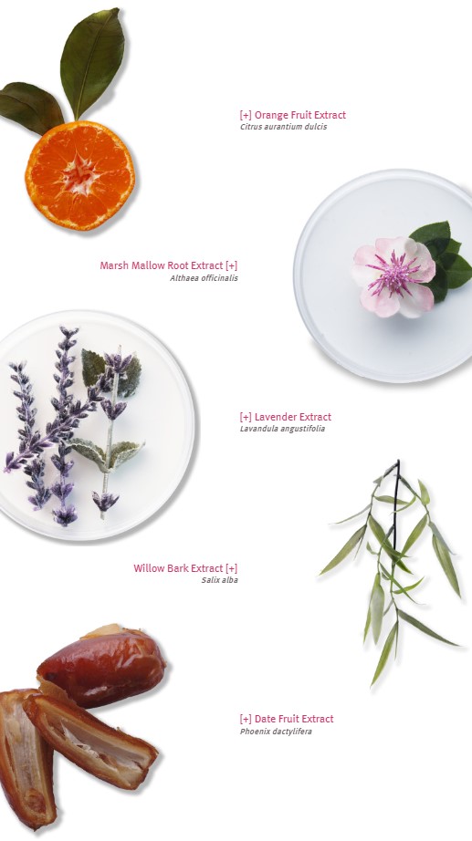 gentlefoamcleanseringredients