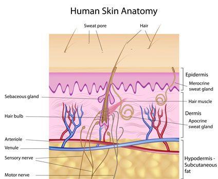 hautstruktur-800vadKiYsH68KVA