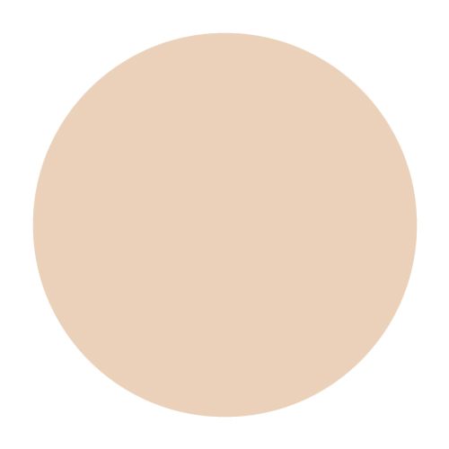 ActiveLight_5_HEX_Swatch_500x500 Nr. 5 Active Light Under-eye Concealer