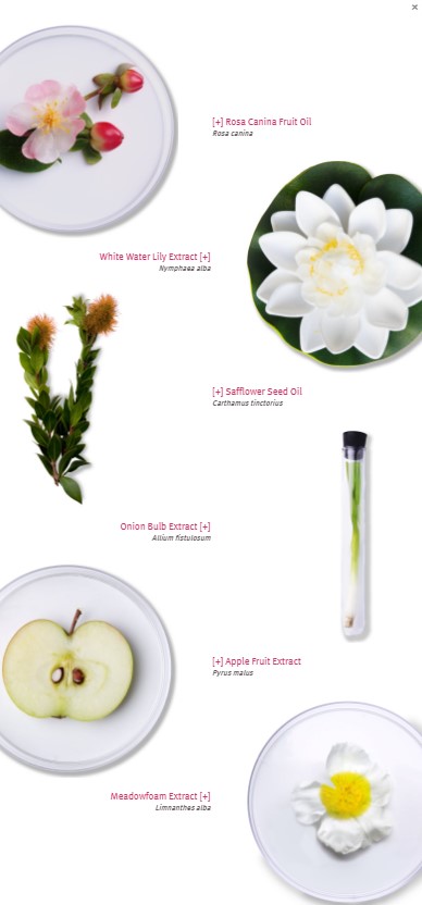 ingredientsMEDICALbarrier