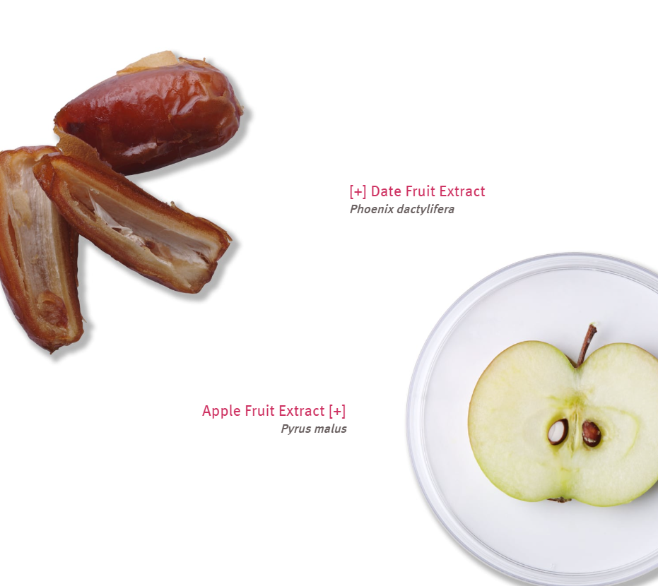 mainingedientsDATEandAPPLEextractt