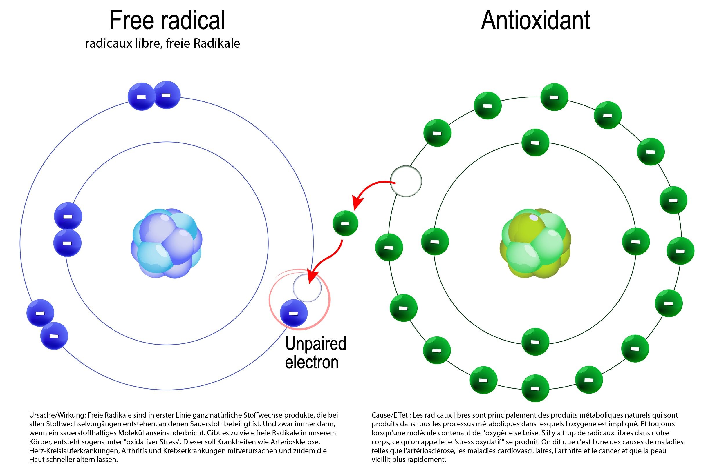 antioxidantien