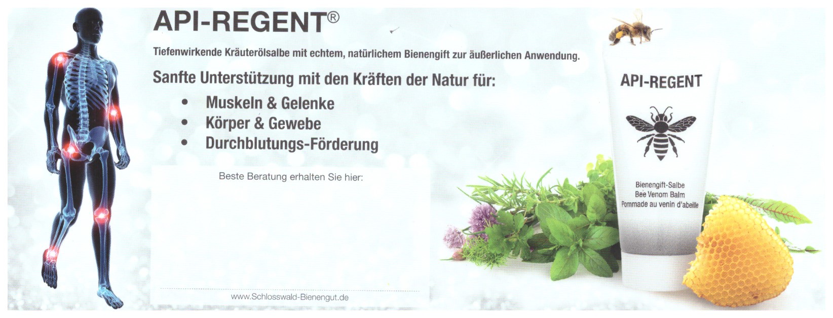 MusterBienensalbeseite1