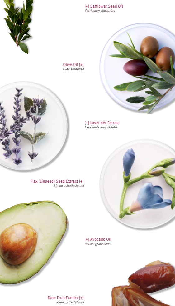 ingredientsRENEWALLotion2