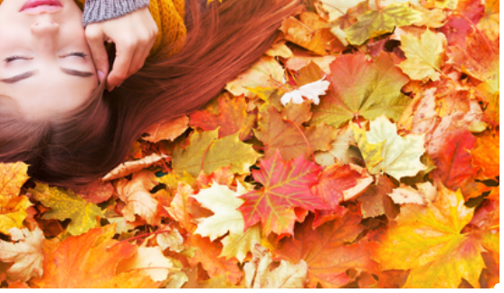 derHerbstliegtvordertuer