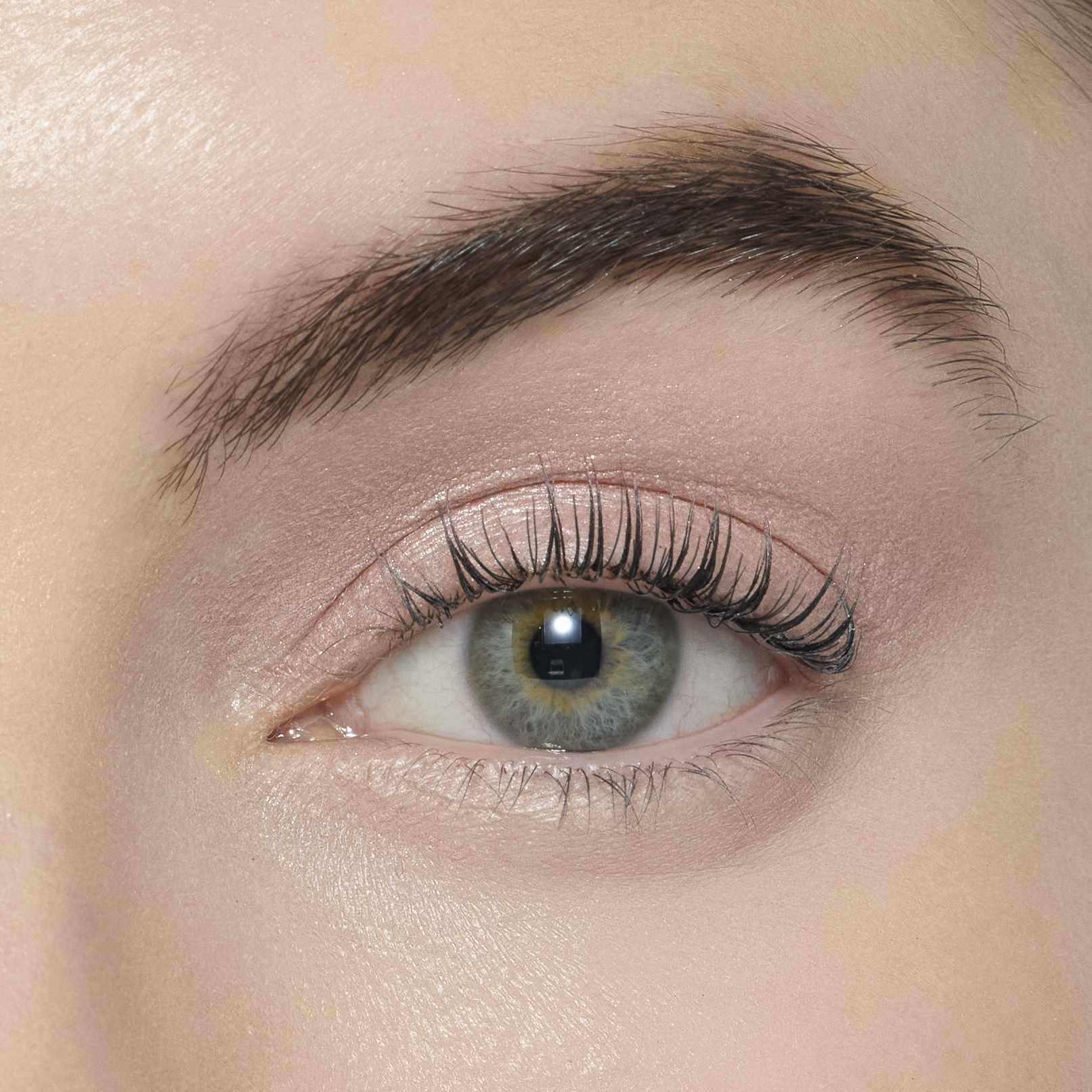 Person, Kontaktlinse, Gesicht, Kopf