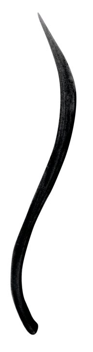 imc-liquideyeliner-black-swatch-hr_192x720_72_RGB