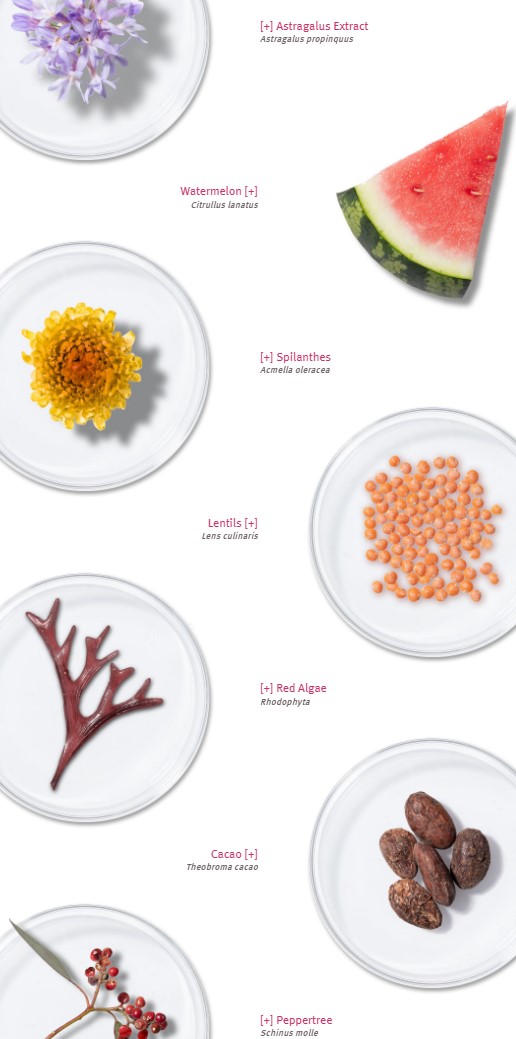 ingredientsLuminousEYEserum