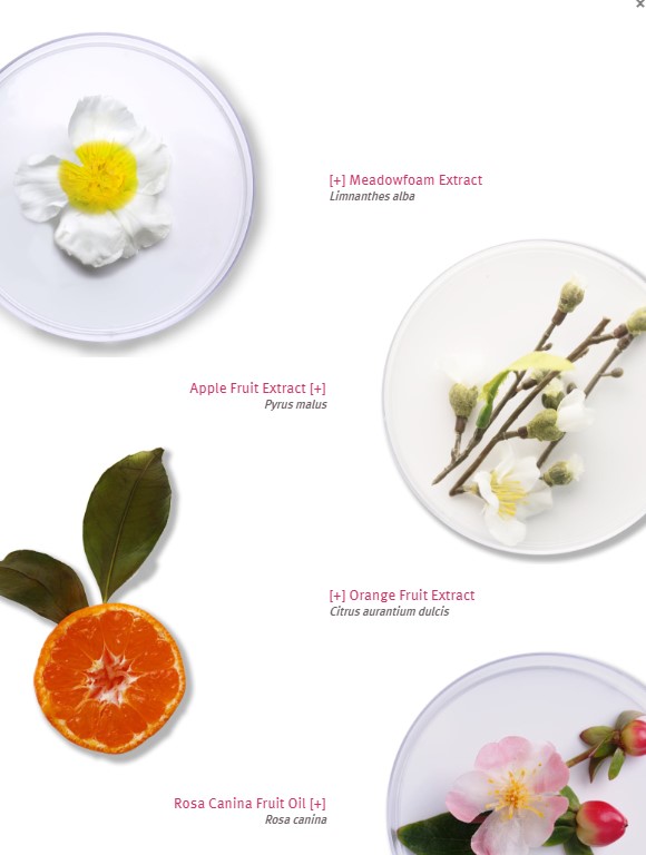 ingredientsRENEWALLotion1