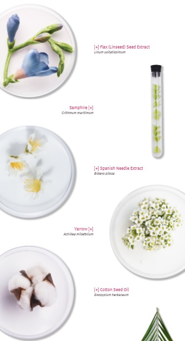 defenceingredients1
